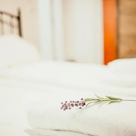 Stories Free Parking * Sarajewo