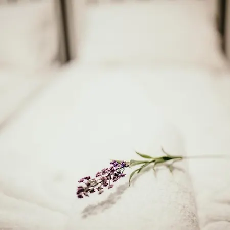 Apartament Stories Free Parking *