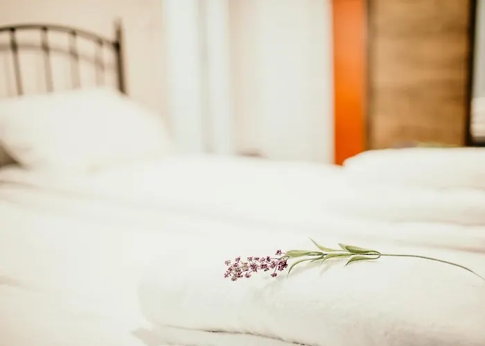 Stories Free Parking * 塞拉耶佛