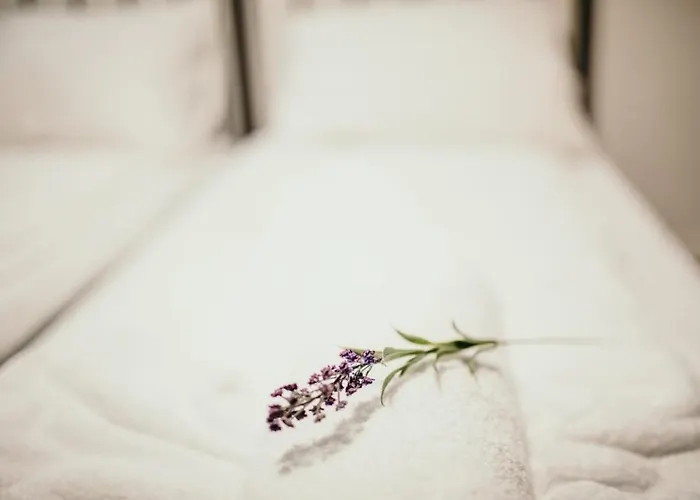 公寓 Stories Free Parking *